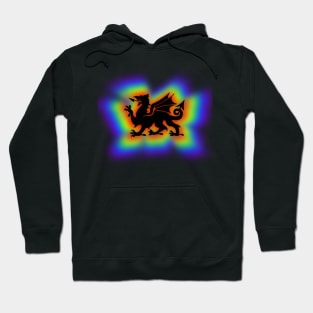 Welsh Rainbow Shadow Dragon Hoodie